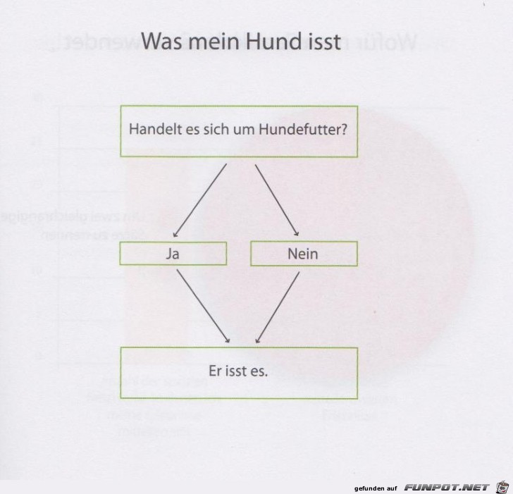 Weltgrafiken258 Hund