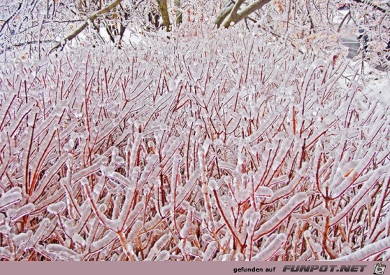 Gigantische Schnee- und Eis-Formationen 27 Gigantische Schnee- und Eis-Formationen 27