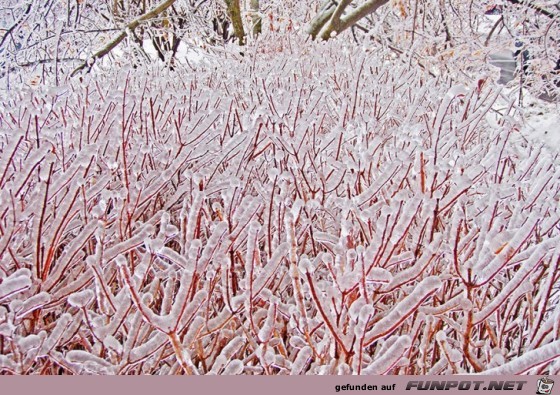 Gigantische Schnee- und Eis-Formationen!