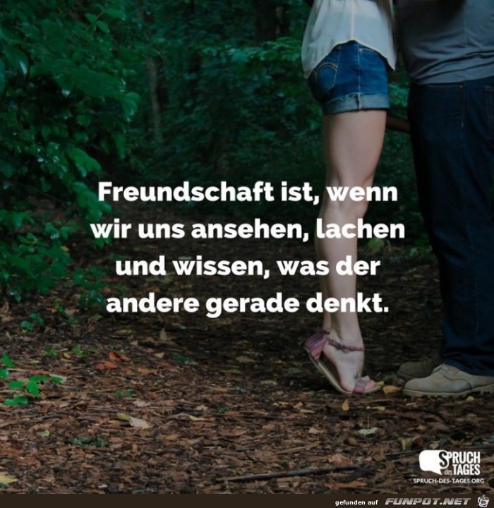 freundschaft-ist-wenn-wir-uns-ansehen- freundschaft-ist-wenn-wir-uns-ansehen-