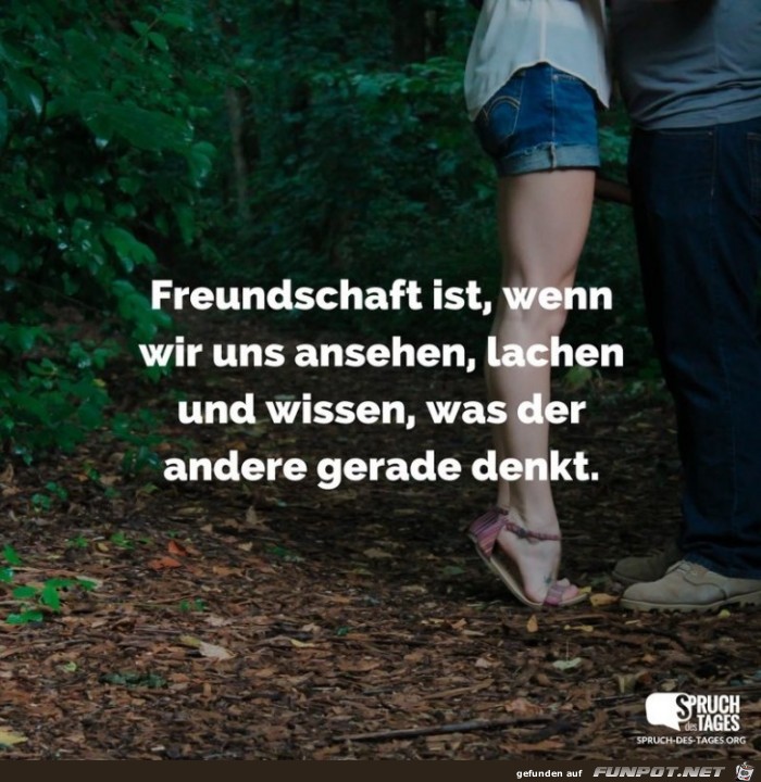 freundschaft-ist-wenn-wir-uns-ansehen-