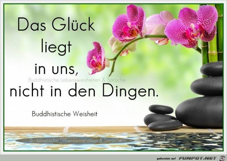 Das Glueck 