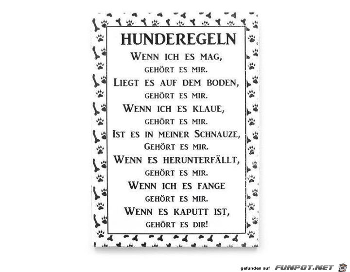 Hunderegeln Hunderegeln