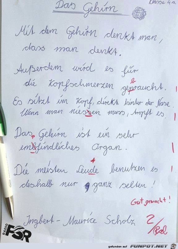 Das Gehirn Das Gehirn