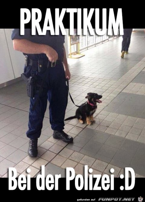 Praktikum bei der Polizei png