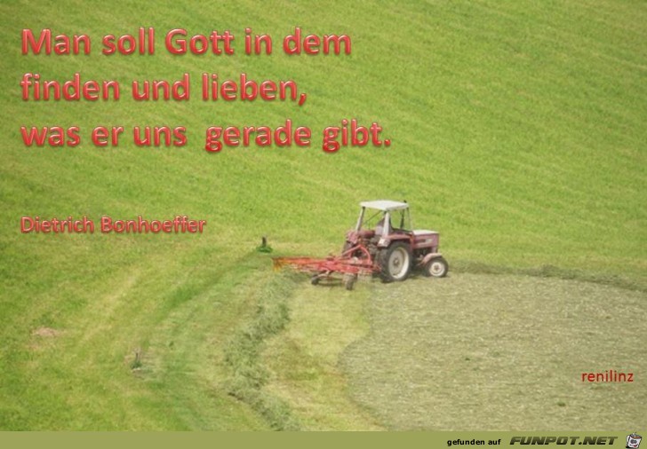 Man soll Gott Man soll Gott