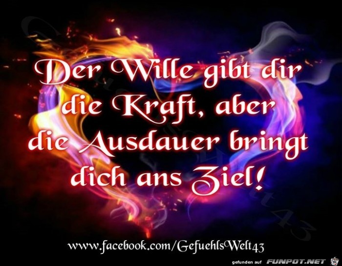 Wille Wille