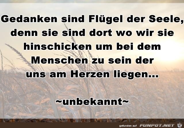 Fluegel der Seele