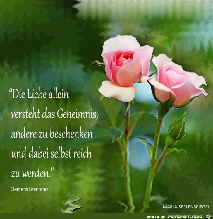 DIE LIEBE ALLEIN DIE LIEBE ALLEIN