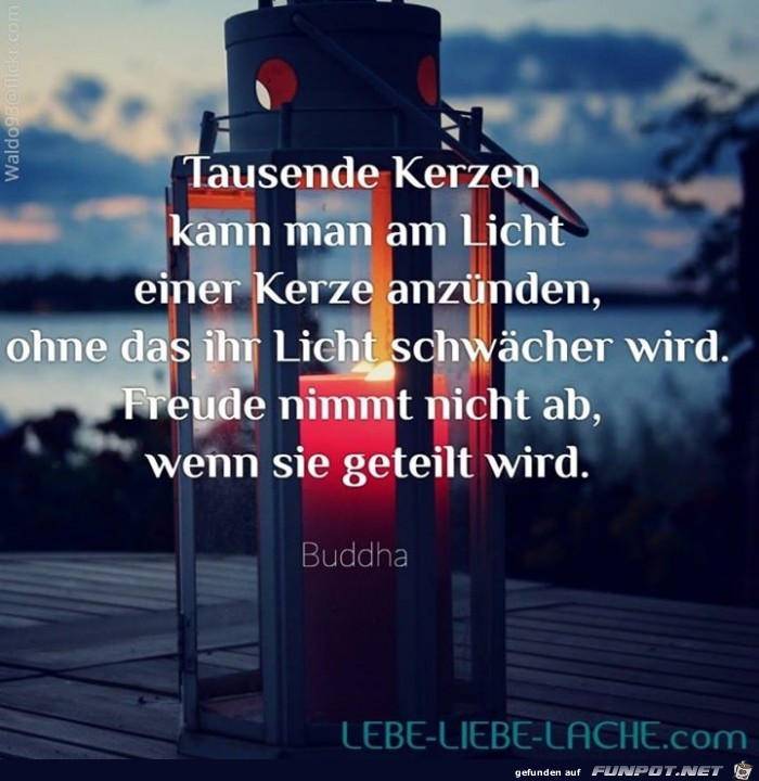 Tausend Kerzen Tausend Kerzen