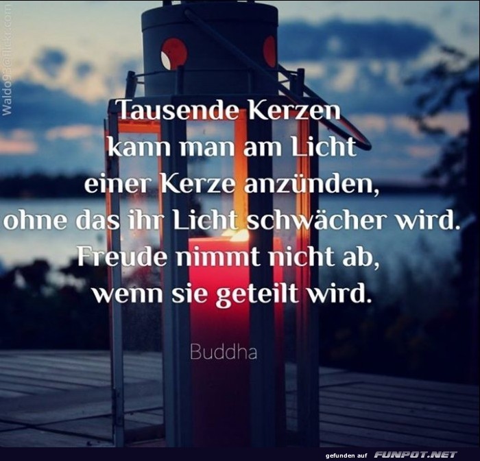 10 sch�ne Spr�che und Lebensweisheiten aus...