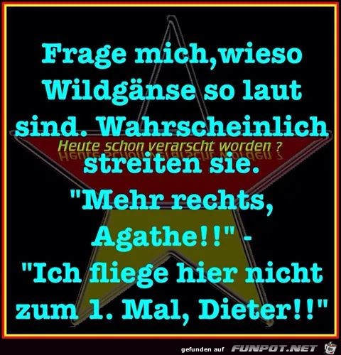 Wildgaense Wildgaense