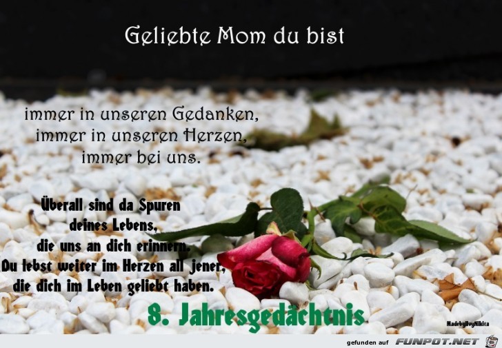 8 Jahresgedaechtnis 8 Jahresgedaechtnis