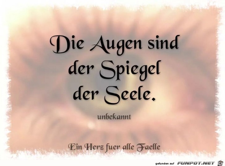 Spiegel Spiegel