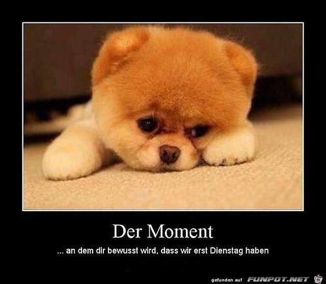 es ist Dienstag es ist Dienstag