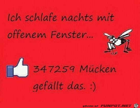 ich schlafe ich schlafe