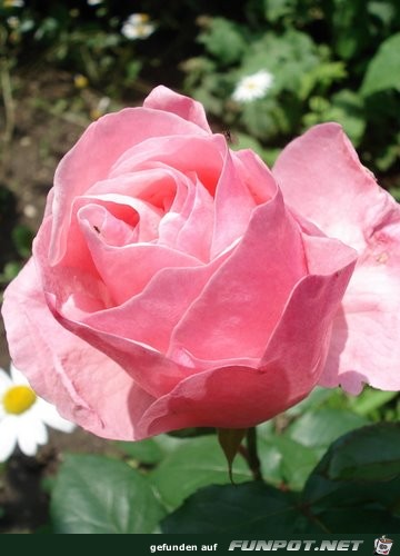 DSC00690 DSC00690