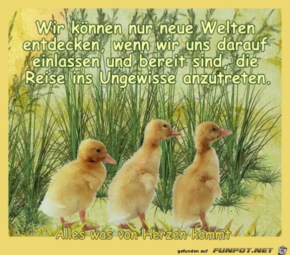 neue Welten