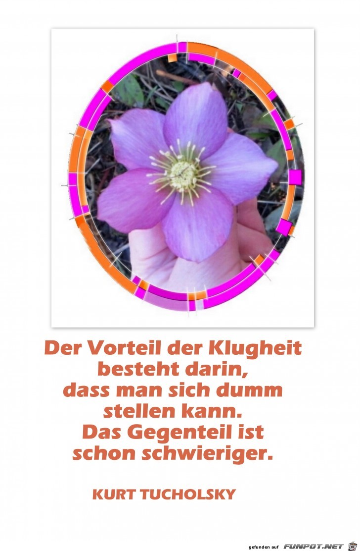 Der Vorteil der Klugheit