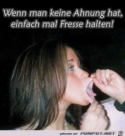 fresse-halten