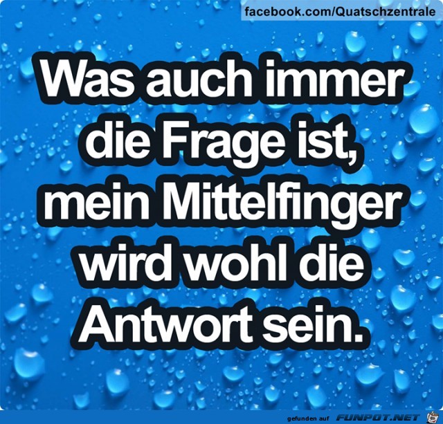 Passende Antwort Passende Antwort