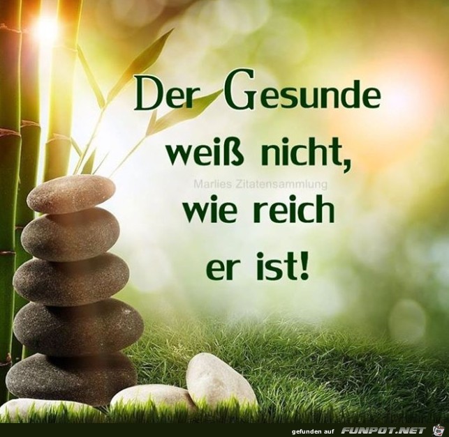 Der Gesunde