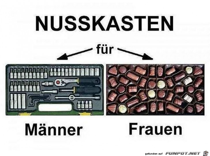 Bild2 Bild2