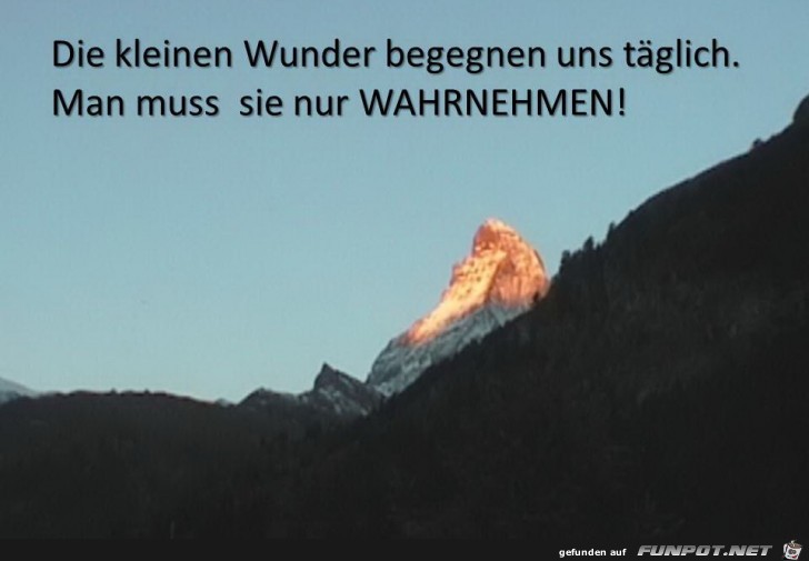 die kleinen wunder die kleinen wunder