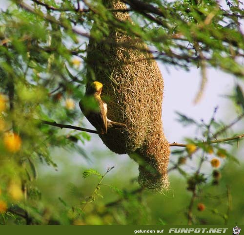 image008898 image008898