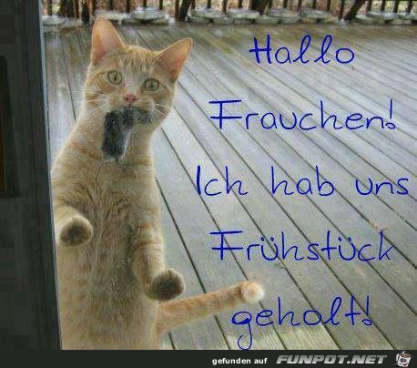 fruehstueck fruehstueck