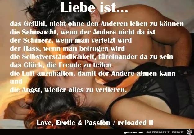 Liebe ist Liebe ist