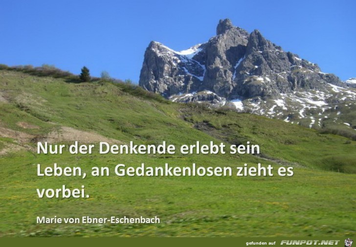 nur der denkende nur der denkende