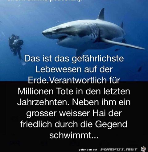 Gefaehrliches Lebewesen Gefaehrliches Lebewesen
