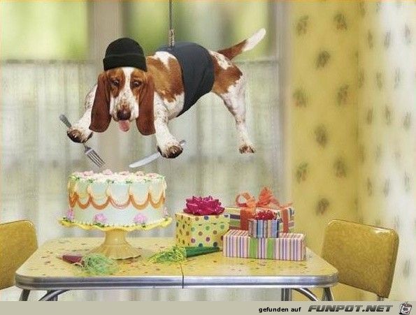 mission-impossible-dogstyle mission-impossible-dogstyle