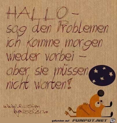 probleme