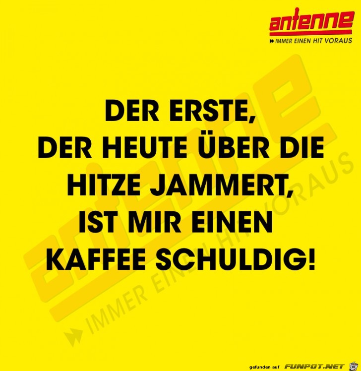 Der erste Der erste