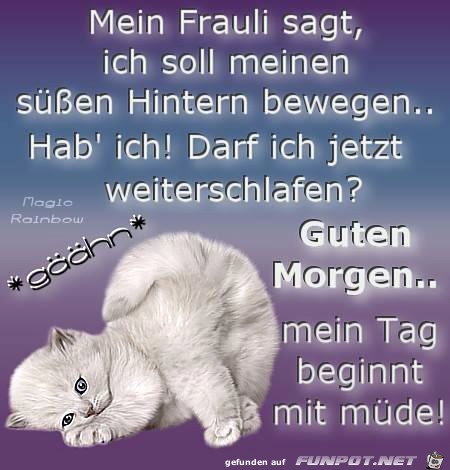 mein Frauli sagt mein Frauli sagt