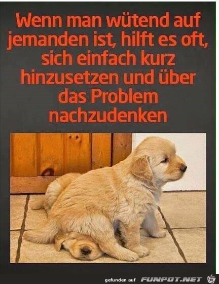 nachdenken nachdenken