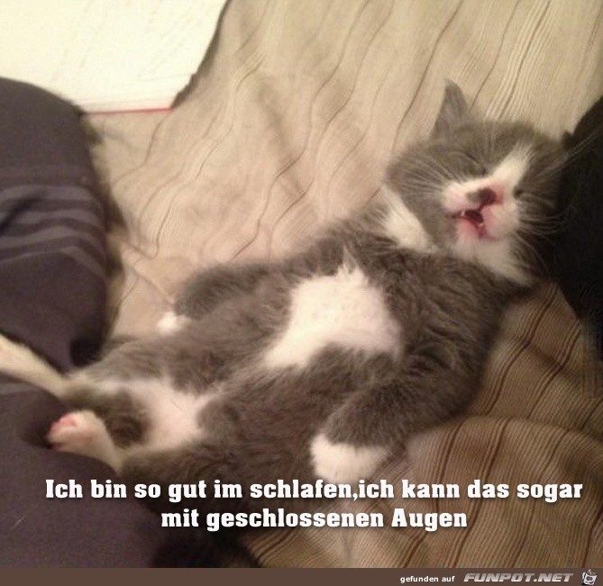 schlafen schlafen