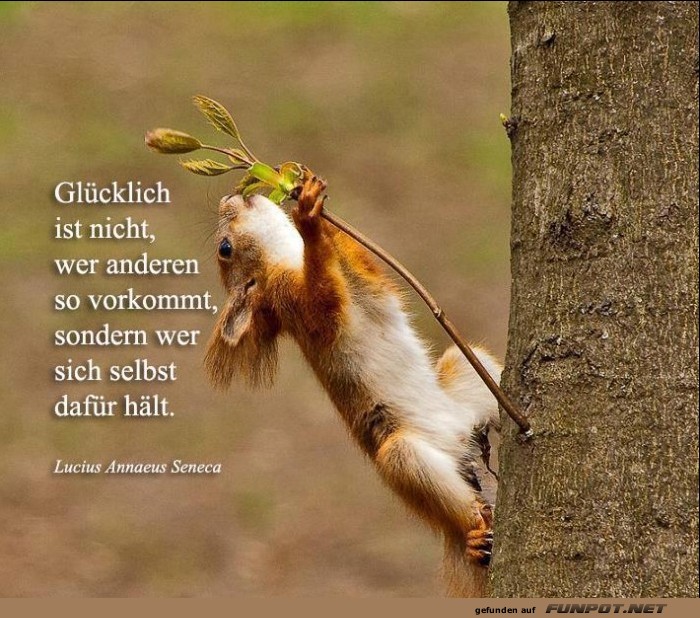 Glcklich