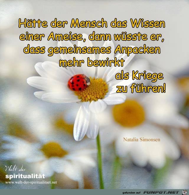 Wissen einer Ameise Wissen einer Ameise