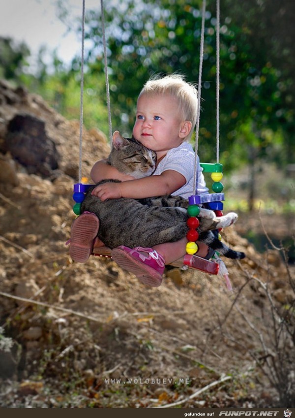 Deshalb brauchen Babys eine Katze!