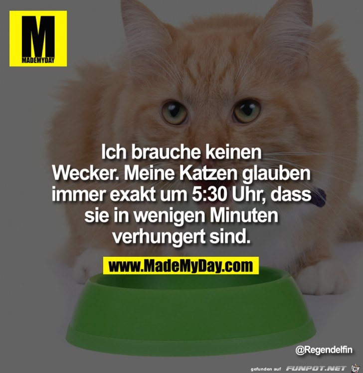 Brauche keinen Wecker Brauche keinen Wecker