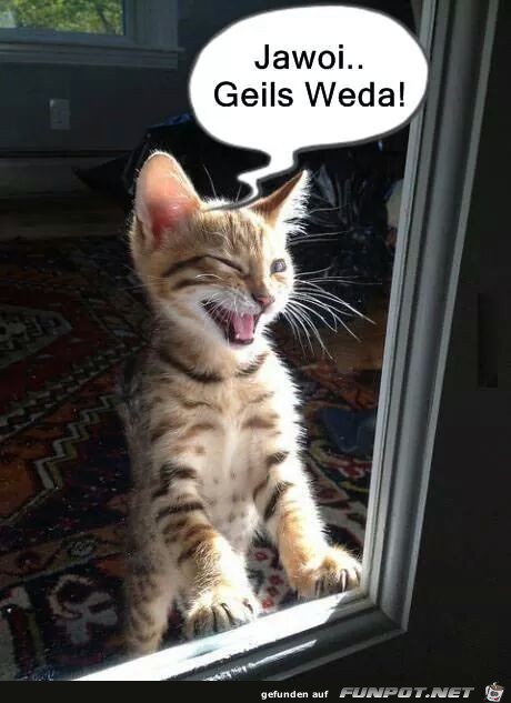 Geils weda Geils weda