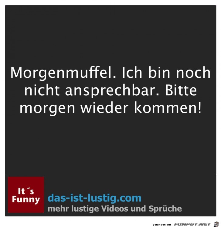 morgenmuffel morgenmuffel