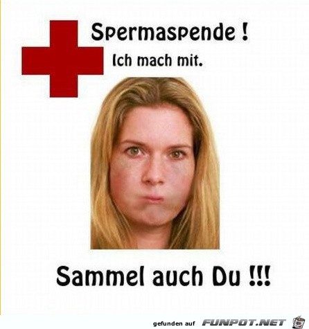 spende spende