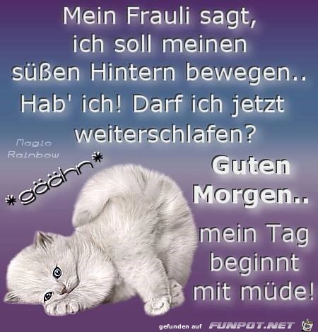 bewegen bewegen