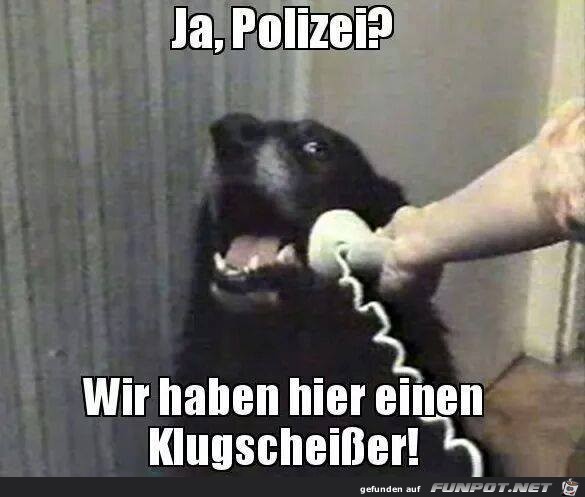 Ja Polizei Ja Polizei