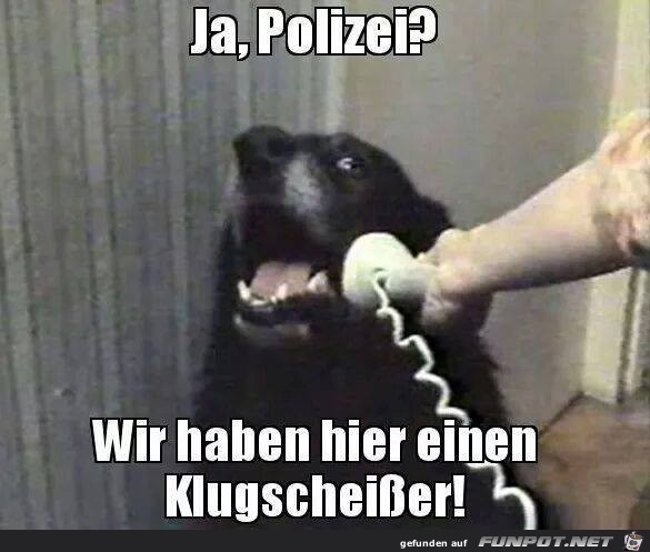 Ja Polizei