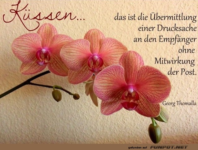 sch�ne Spr�che zur Liebe und Partnerschaft